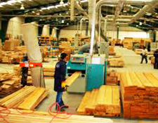 Industria de procesamiento de madera