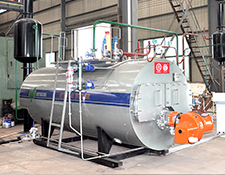 Caldera de condensación de cas de la serie WNS, de 1.5 toneladas de producción para un gimnasio en 