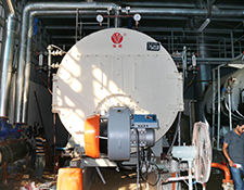 Caldera de la serie WNS de 5 toneladas de producción por hora instalada en Indonesia