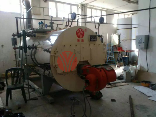 1t/h WNS Series Water Tube Steam Boiler for Egypt Machinery Plant