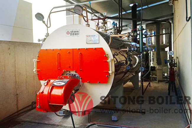 Caldera de vapor del tubo del agua de la serie WNS de 1 tonelada por hora  de producción para una planta de fabricación de maquinaria en Egipto.- Caldera de gas de petróleo-casos-Henan Province